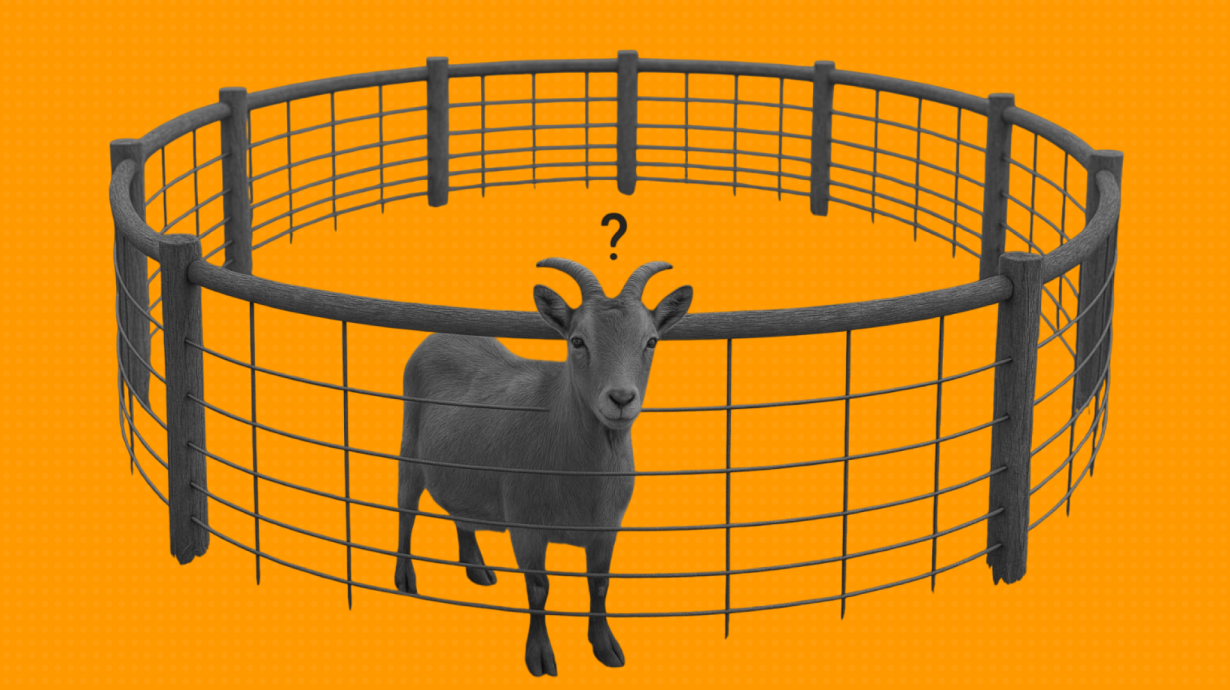 Ограничения проекта — что это, как определять и управлять