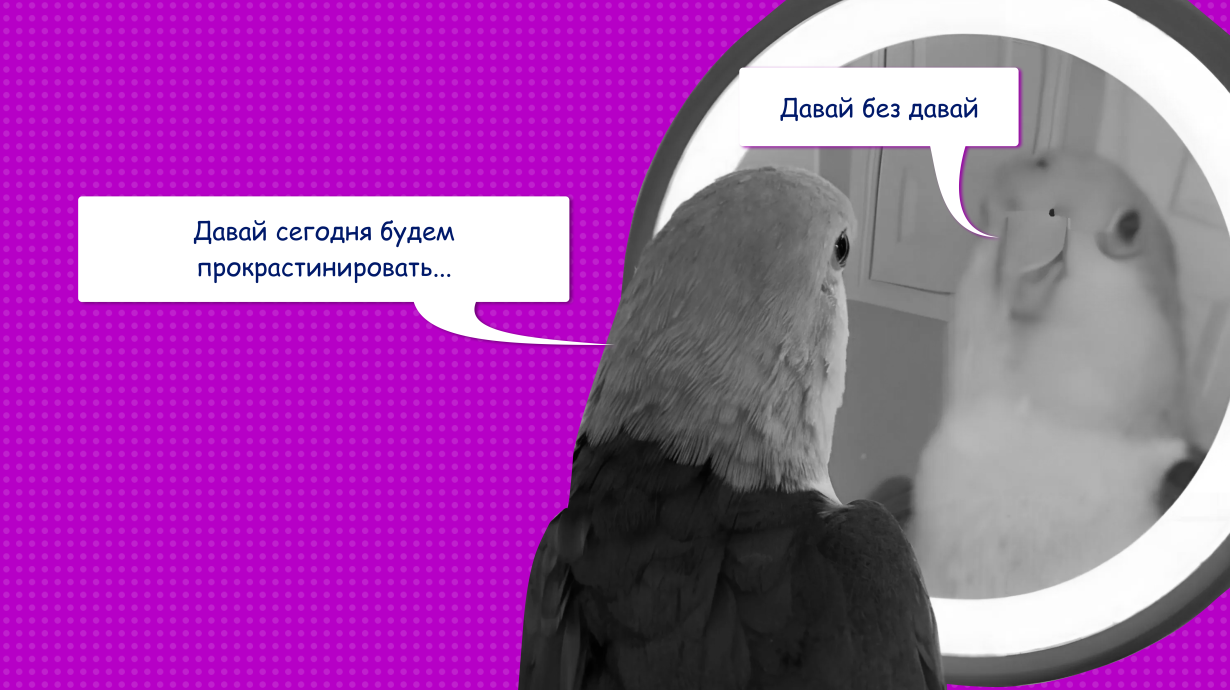 Что такое прокрастинация простыми словами или как перестать откладывать дела на потом 