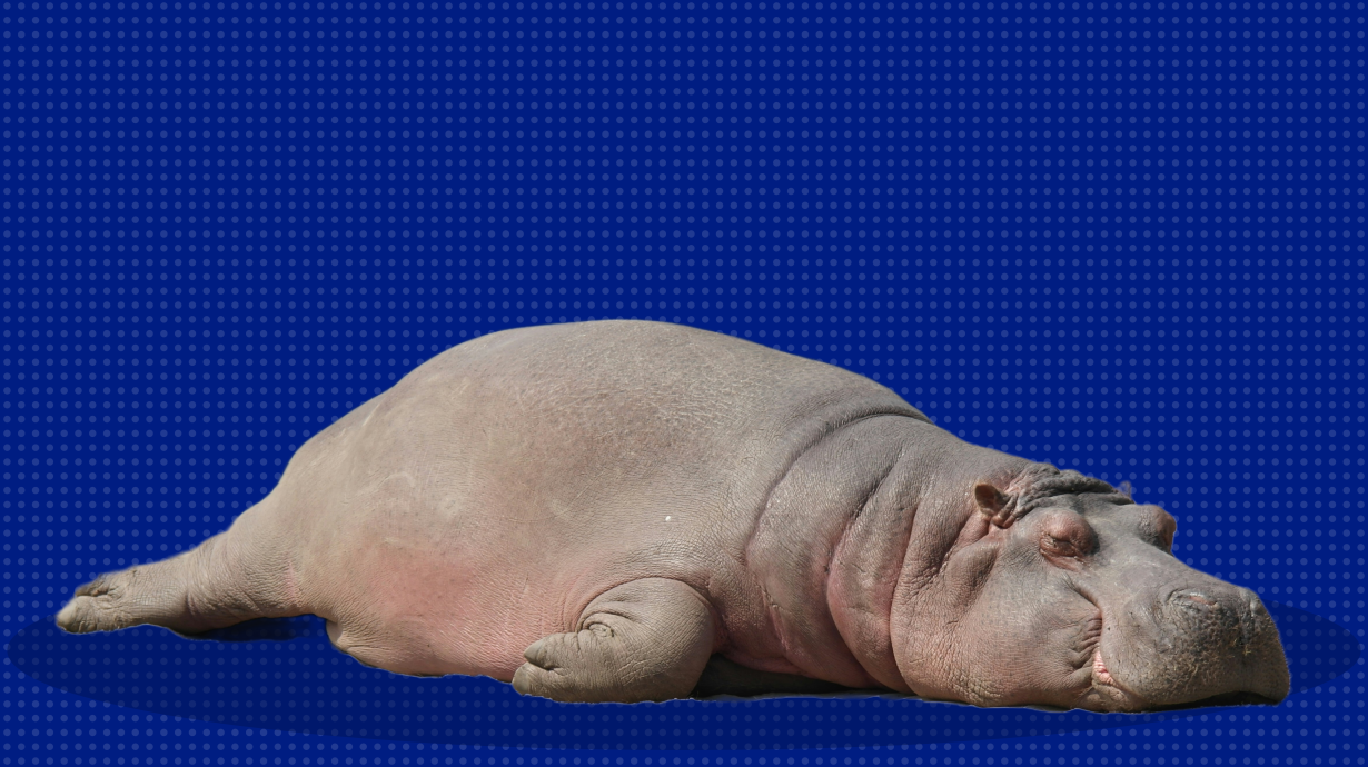 Голова не варит: 10+ советов, как предотвратить умственное переутомление