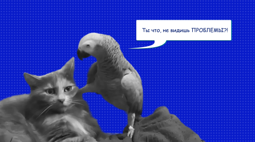 Мастермайнд: как работают группы взаимной поддержки и роста