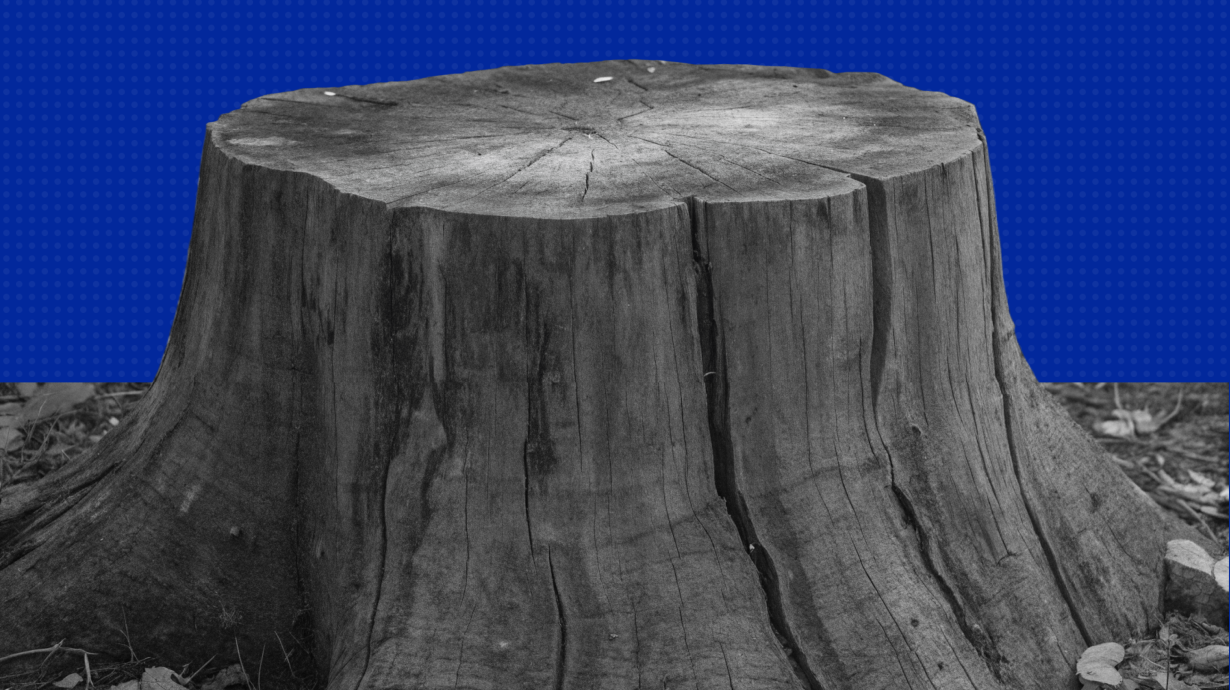 Жизненный цикл компании: зачем знать, как оценить этап развития бизнеса и что делать с этим знанием