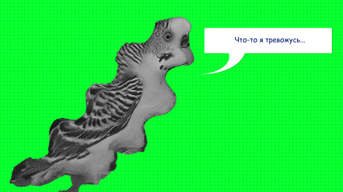 Как справиться с тревогой и стрессом