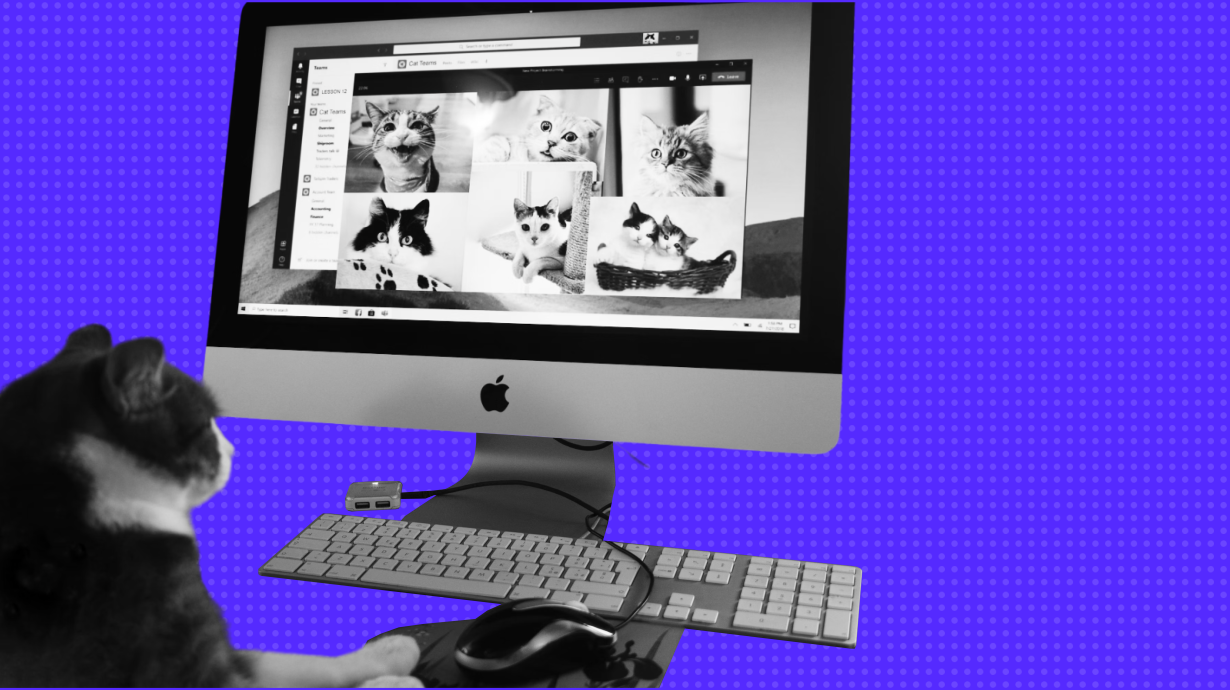 Как работать с удалённой командой