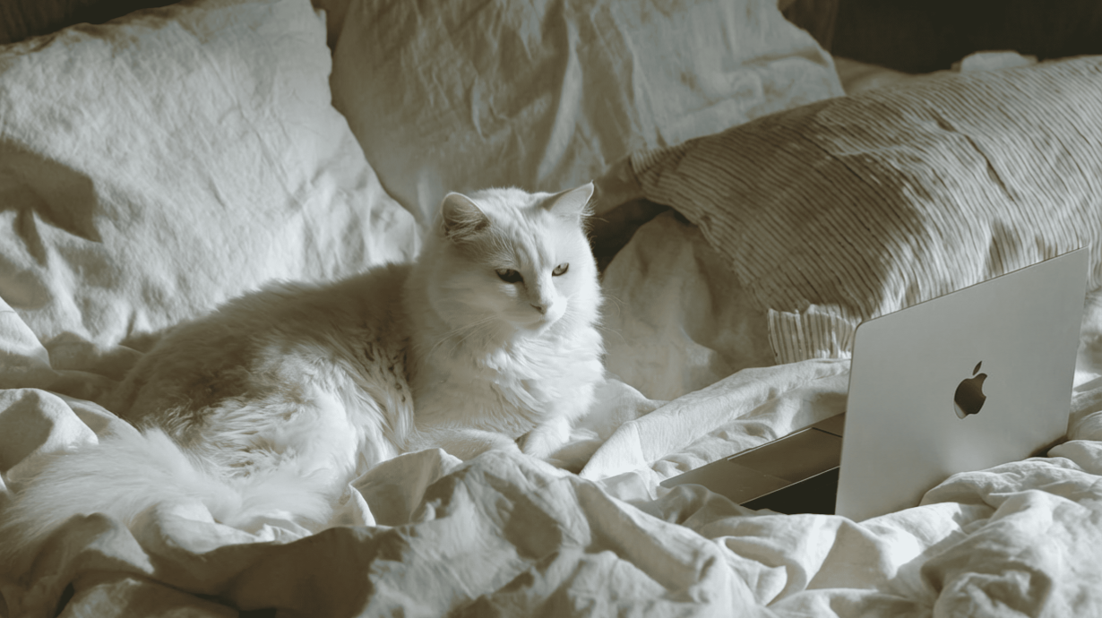 22 лучших приложения для Макбука в 2026 году