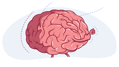 Habits harmful to the brain