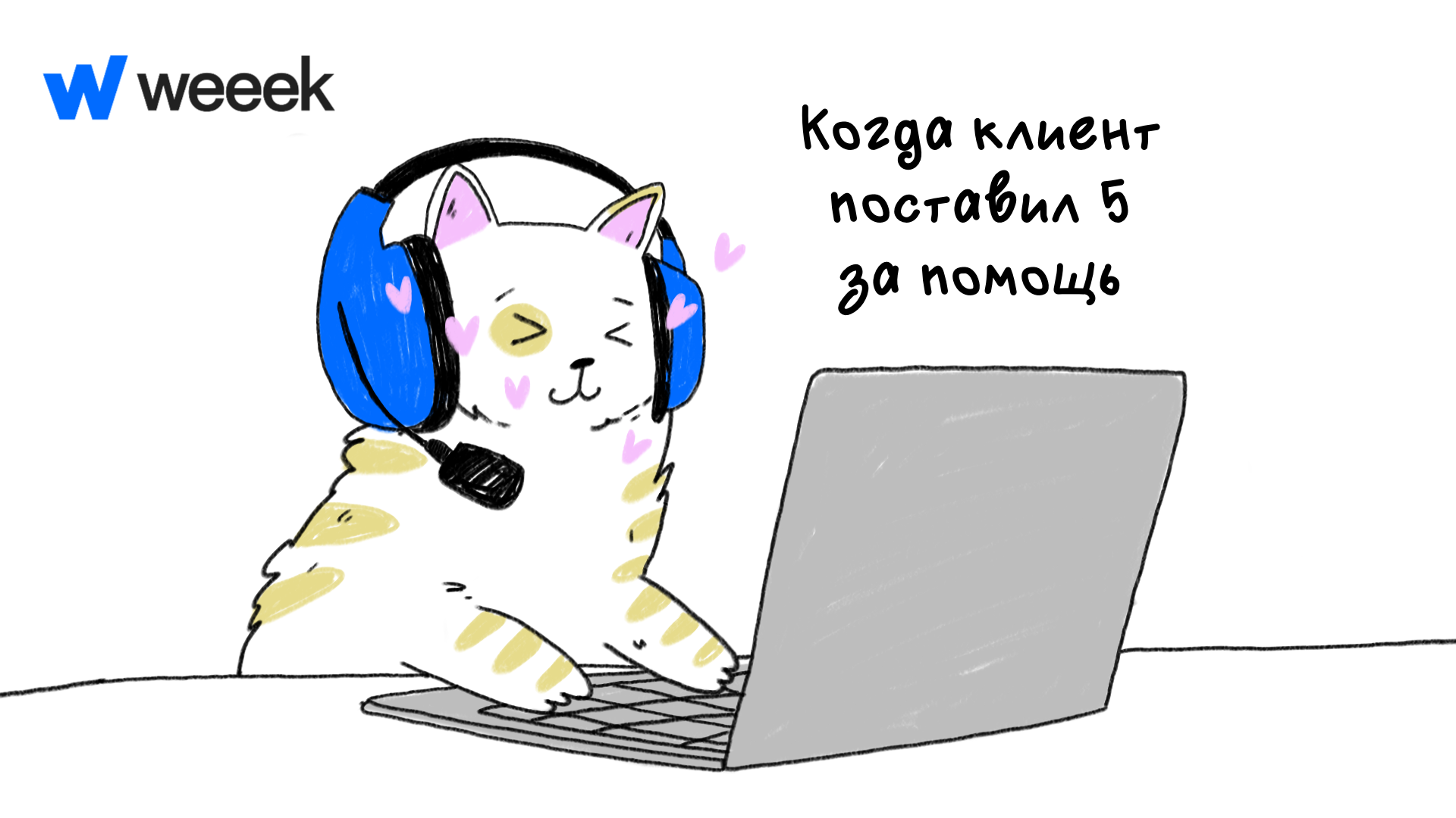 Тёплая обратная связь поддерживает продуктивность Котёнок работает