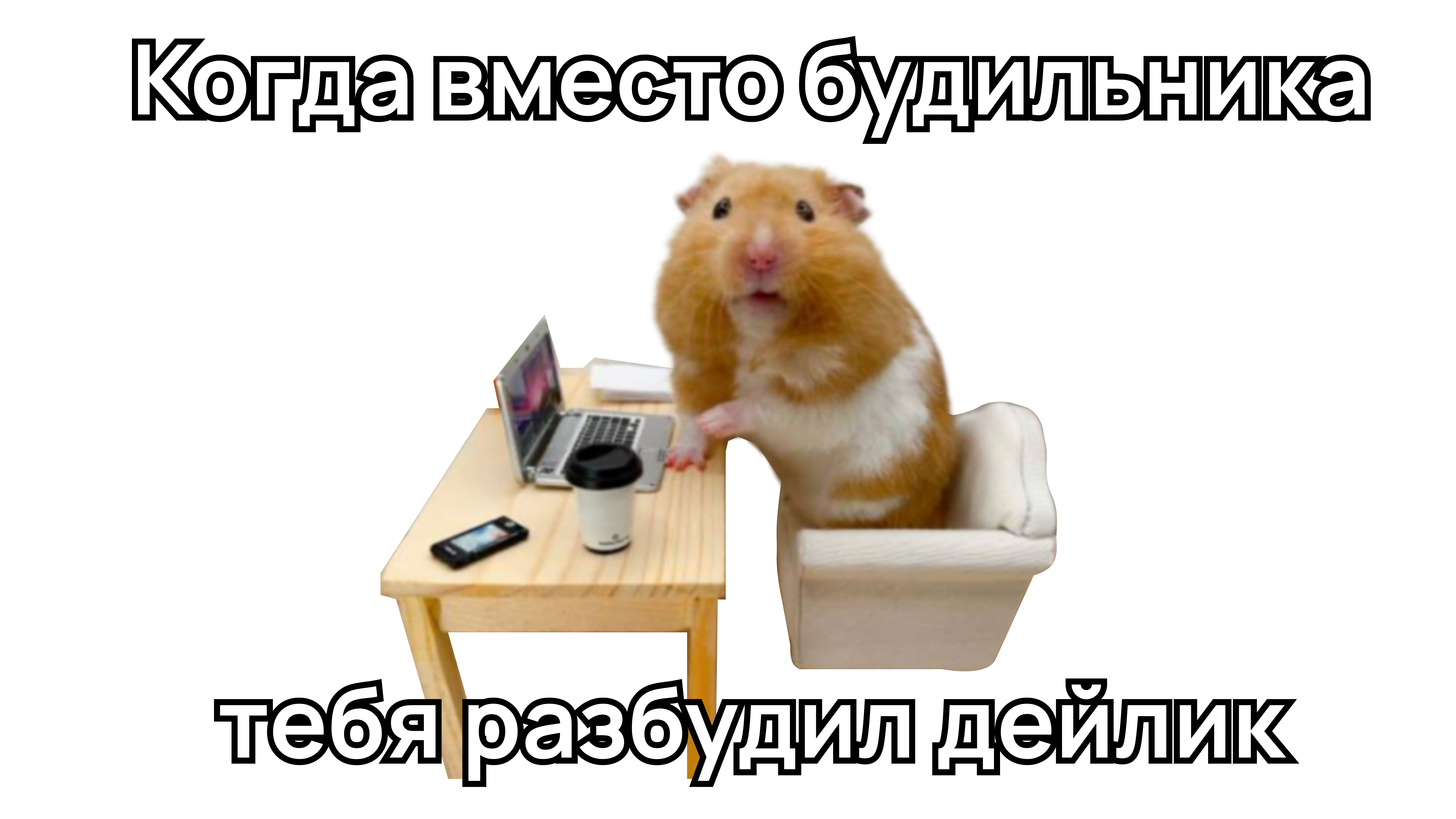 Мем хомяка разбудил дейлик