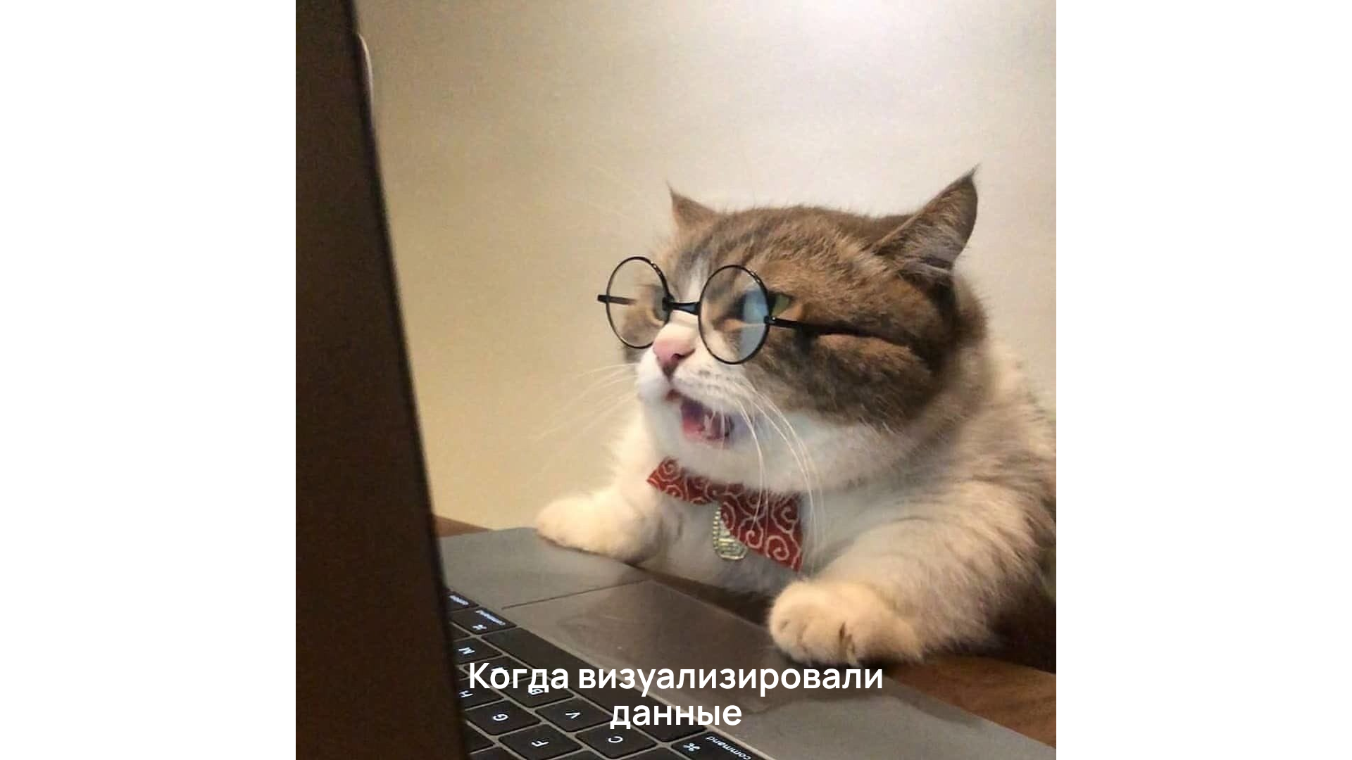Мем с котиком