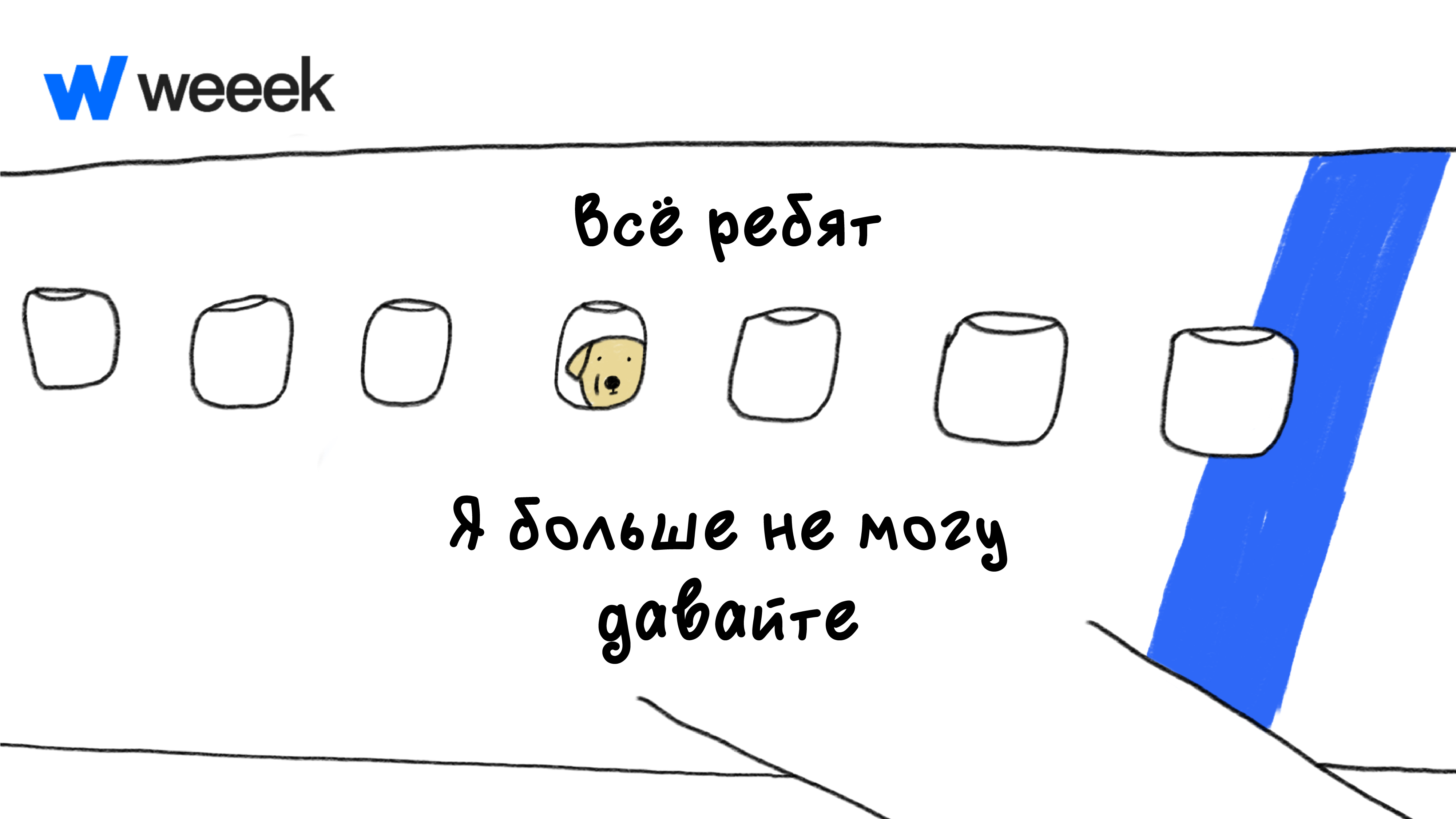 Мем с собачкой в самолёте