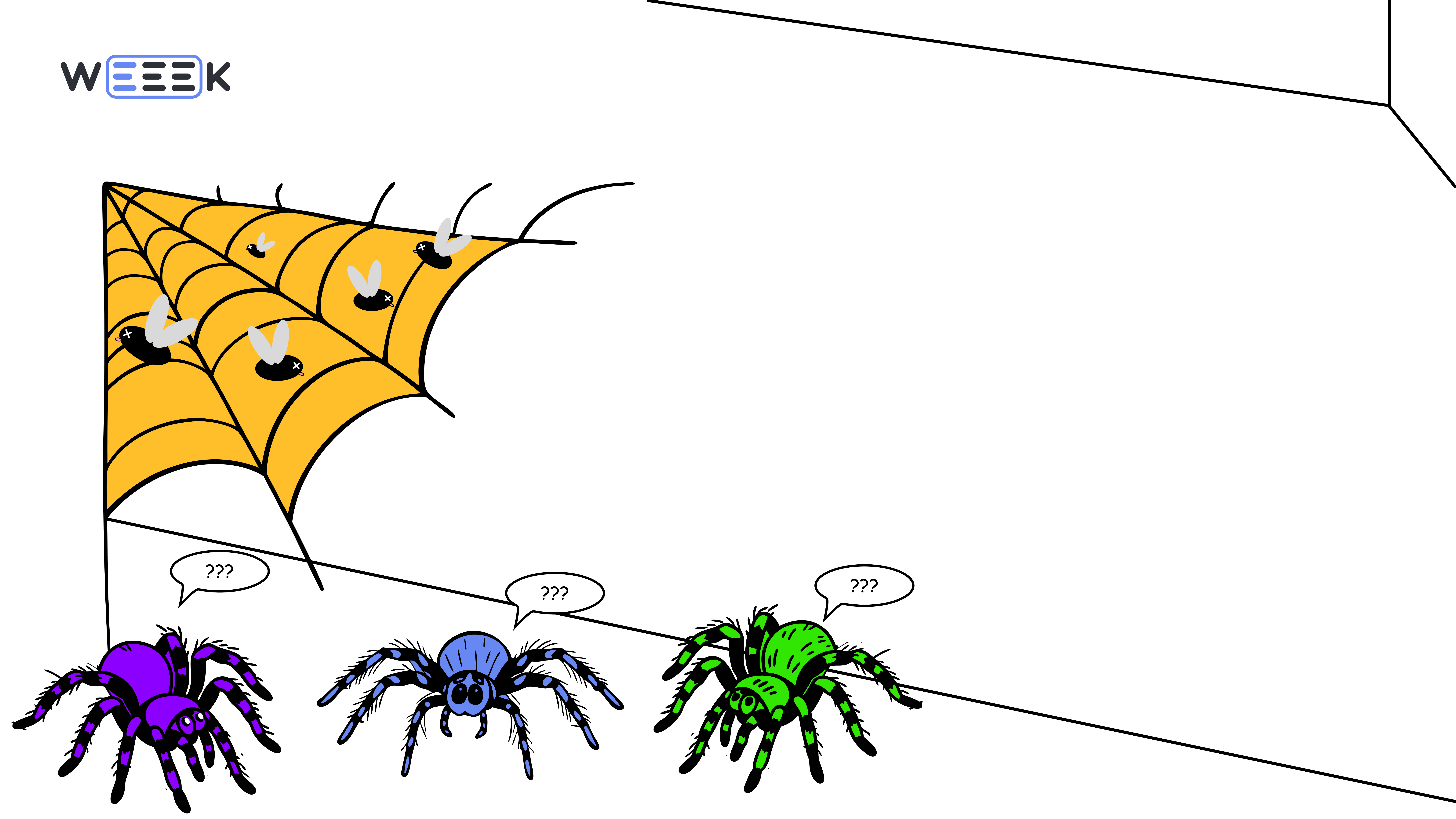 Жизненный цикл паучка