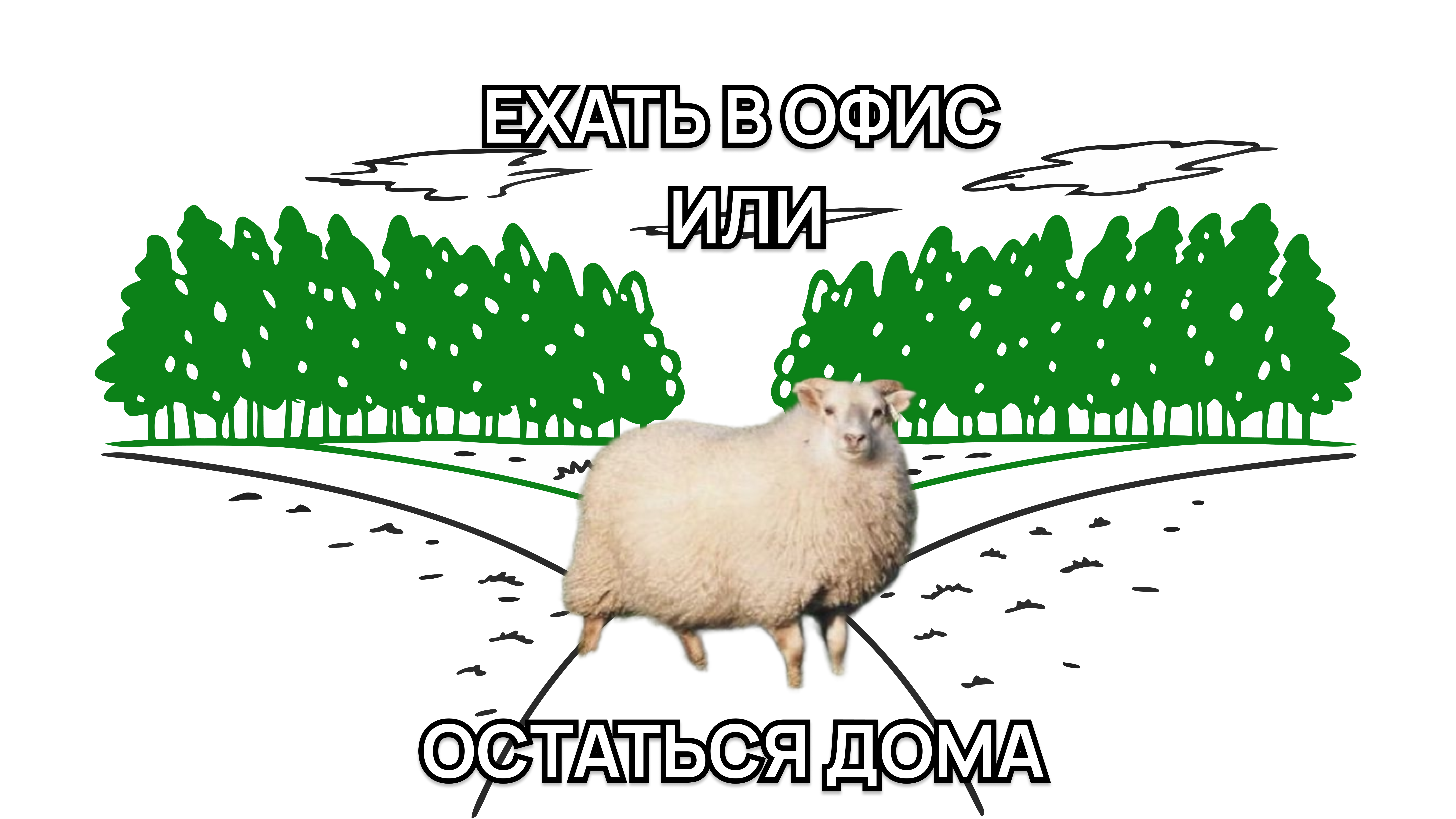 Мем: барашек решает, где работать&nbsp;