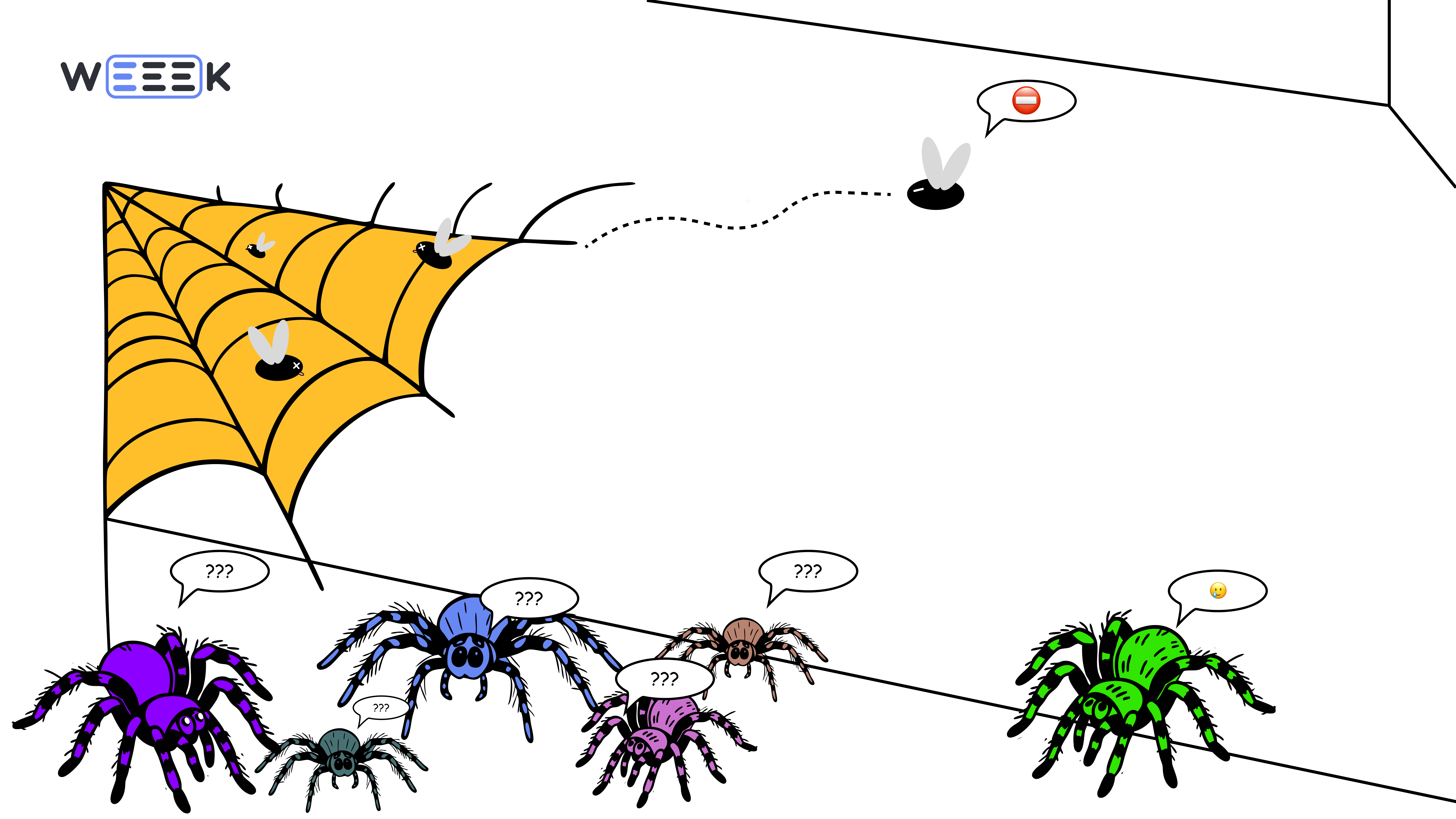 Жизненный цикл паучка