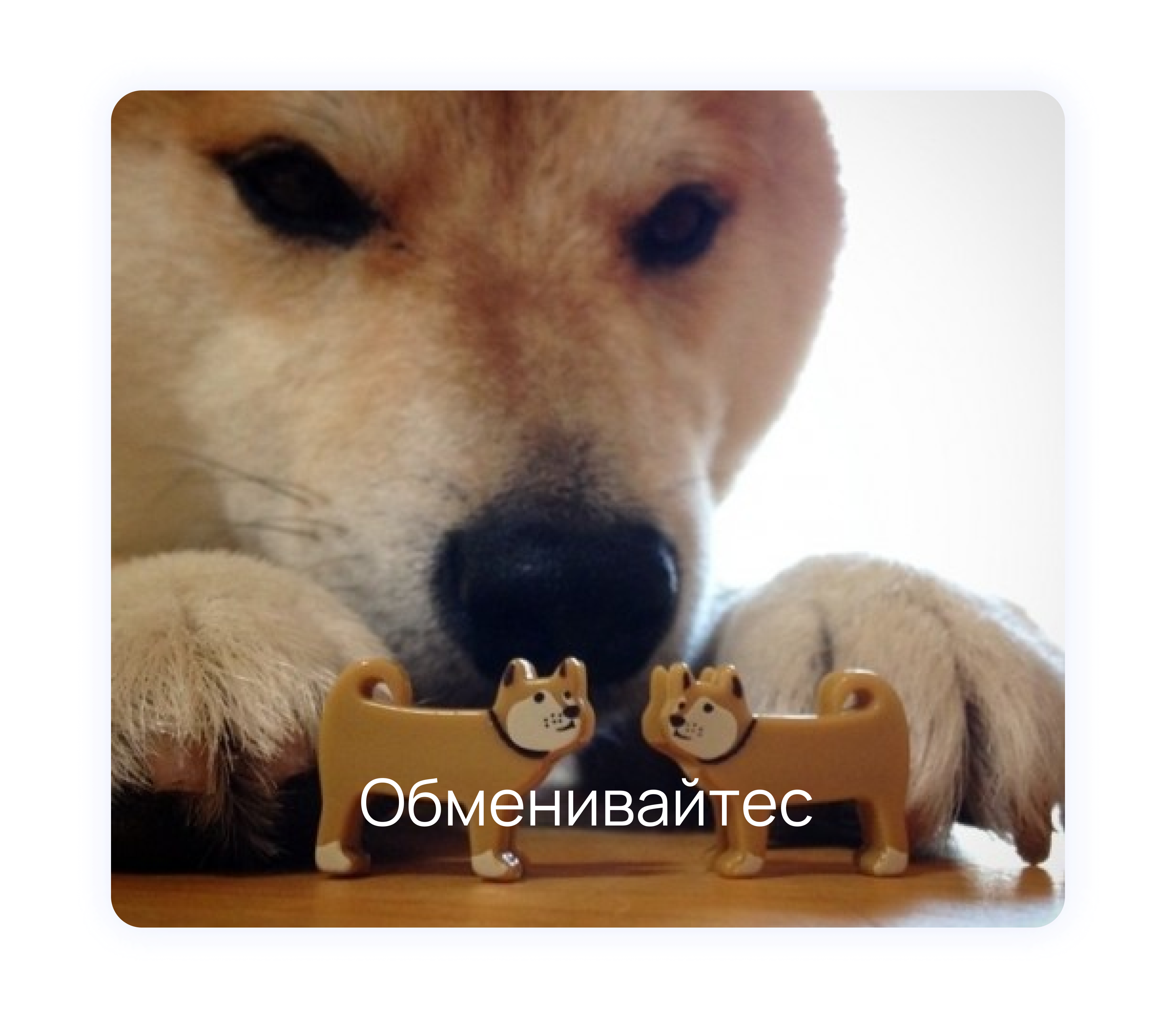 Как организовать обмен опытом между сотрудниками