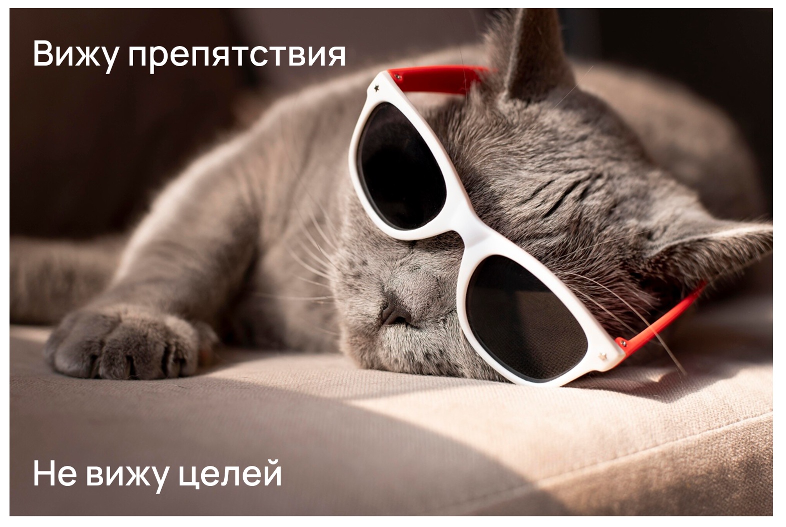 Мем с котиком