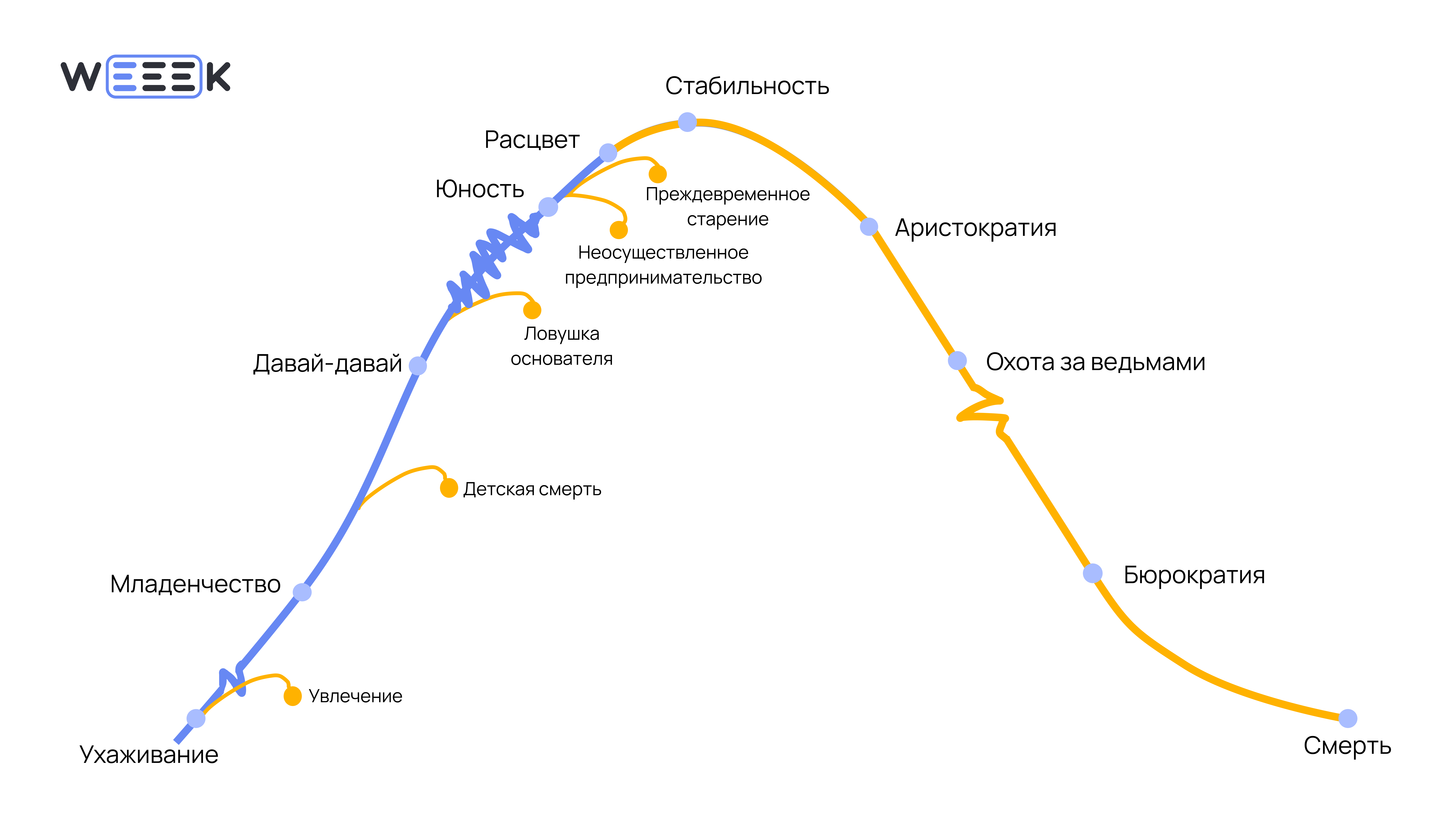 Основные стадии жизненного цикла компании по Адизесу