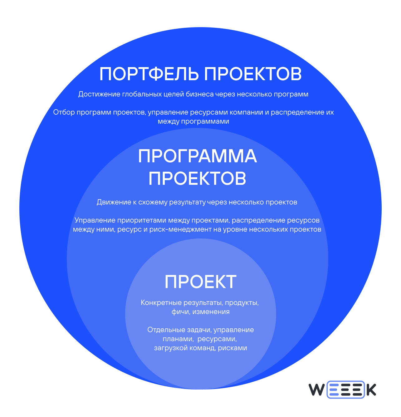 Проект, программа и портфель проектов
