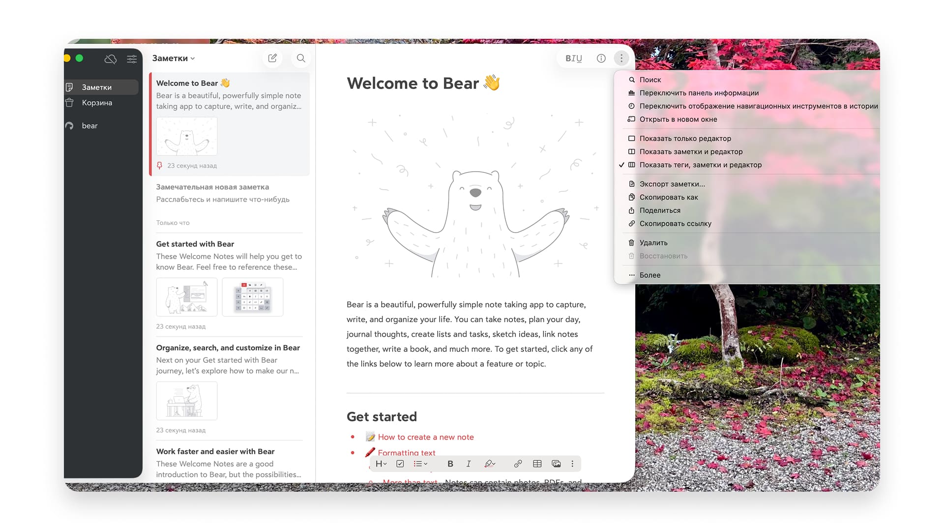 Приложение для заметок Bear