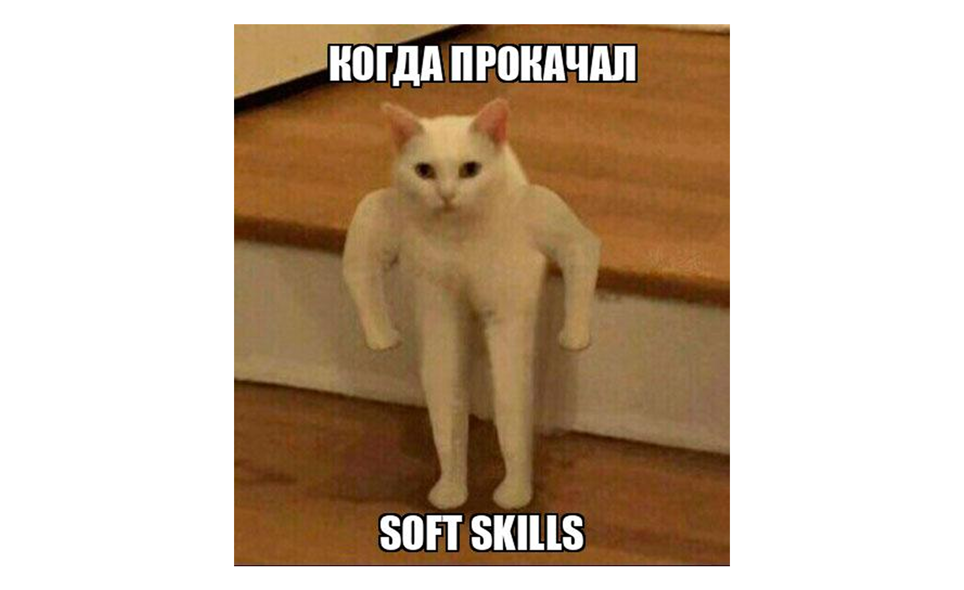 Мем про&nbsp; soft skills