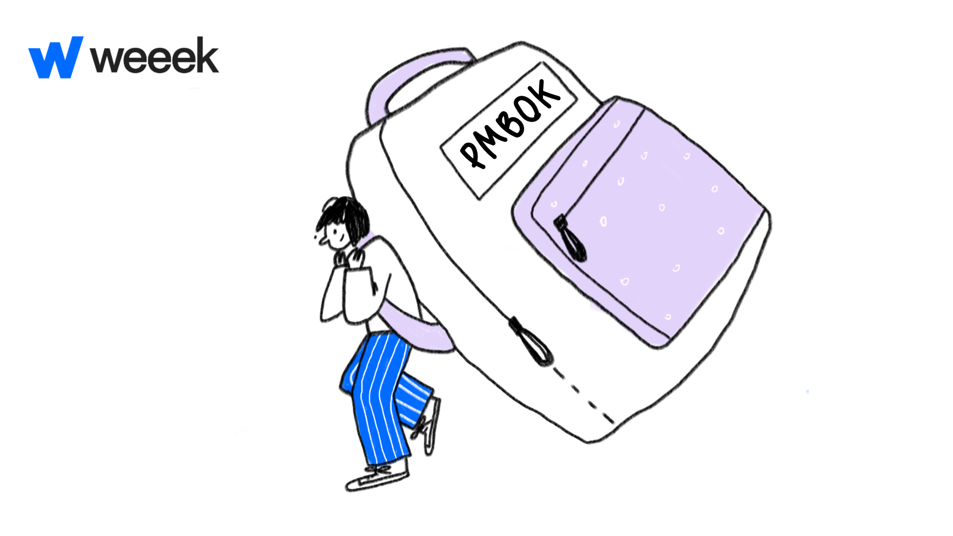 Что такое&nbsp;PMBOK 8