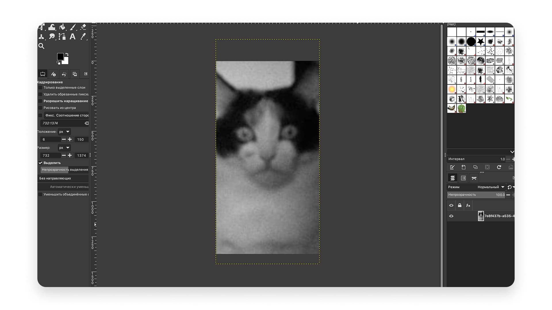 Фоторедактор Gimp