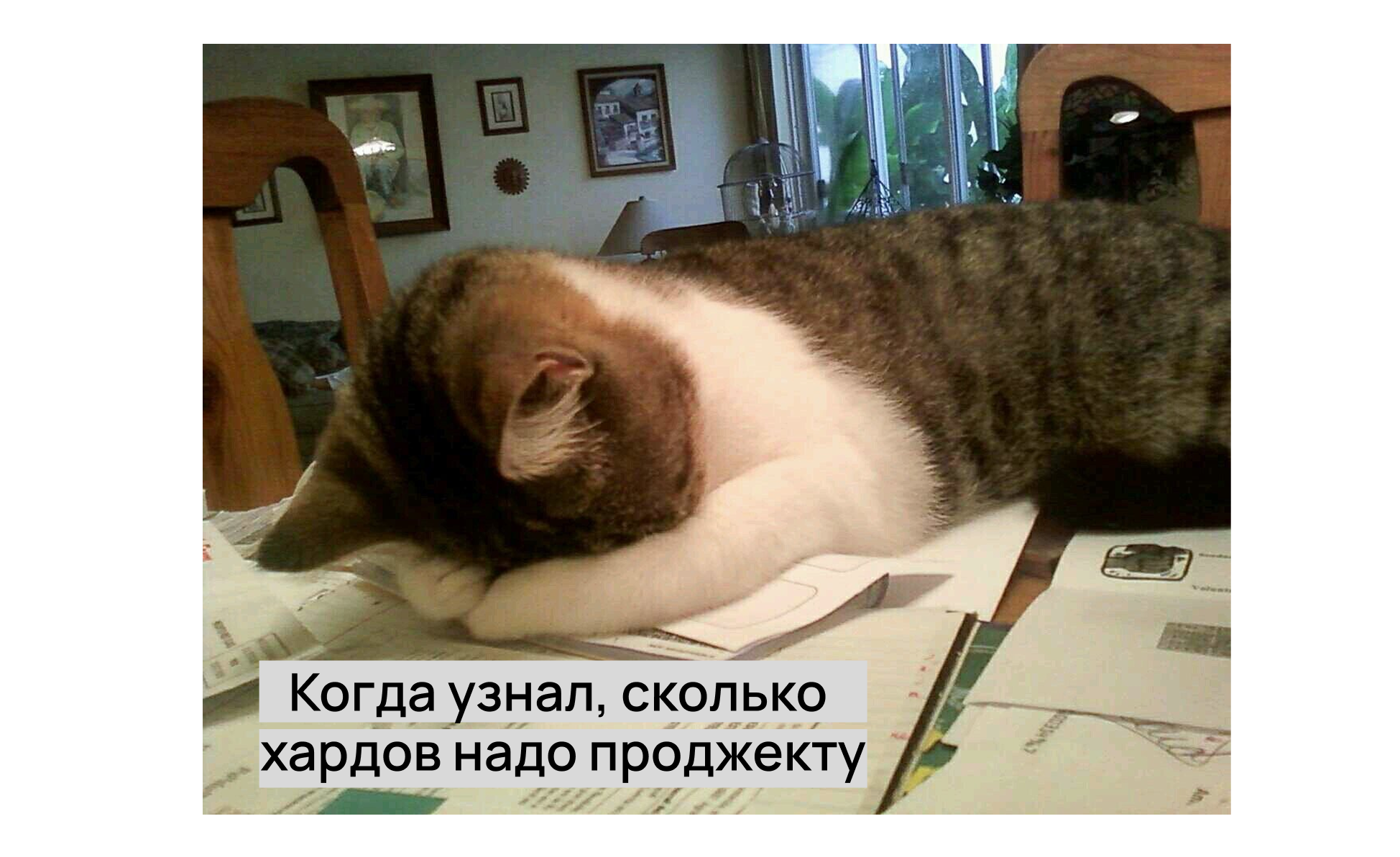 Мем про проджект-менеджера
