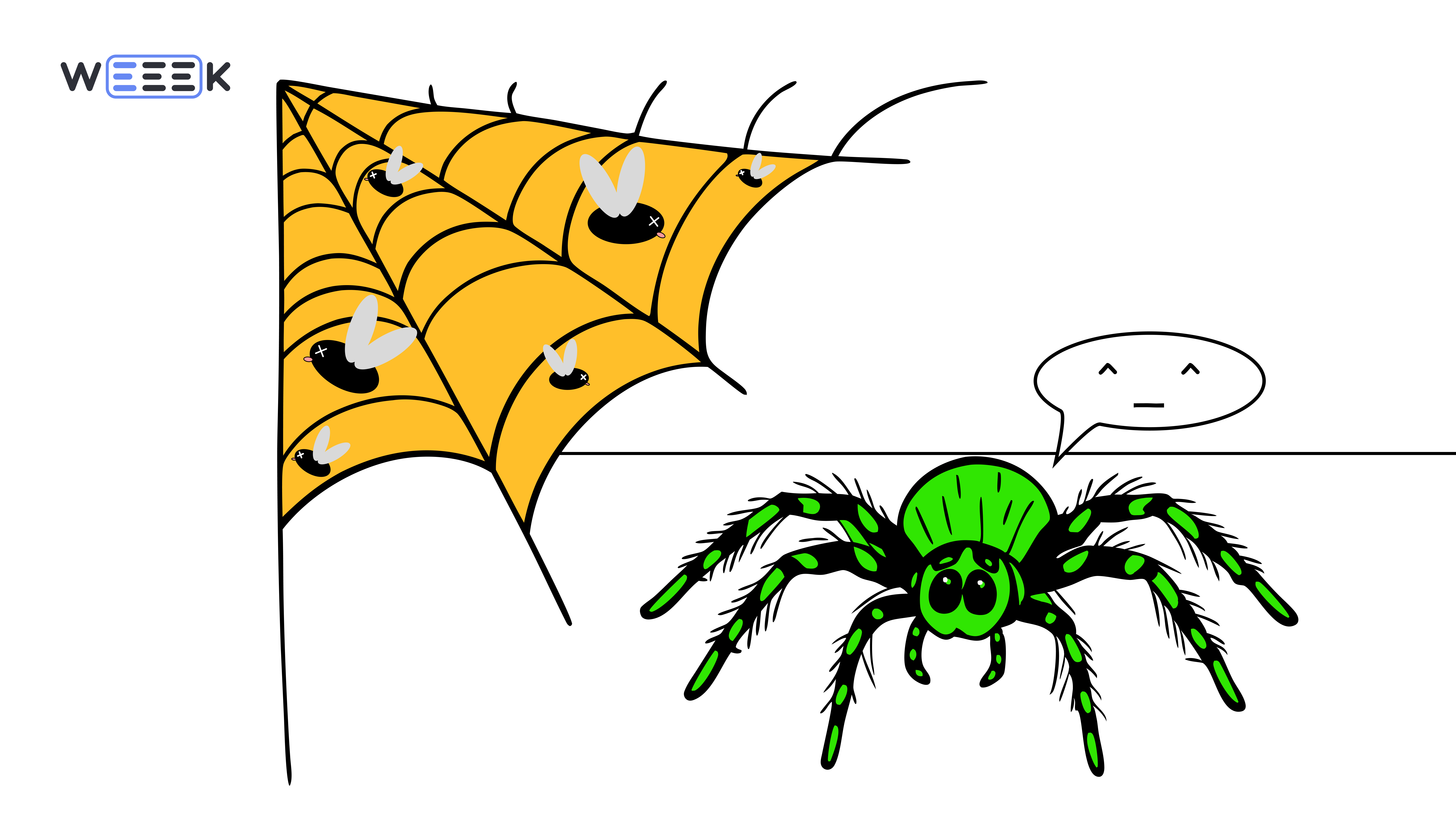 Жизненный цикл паучка