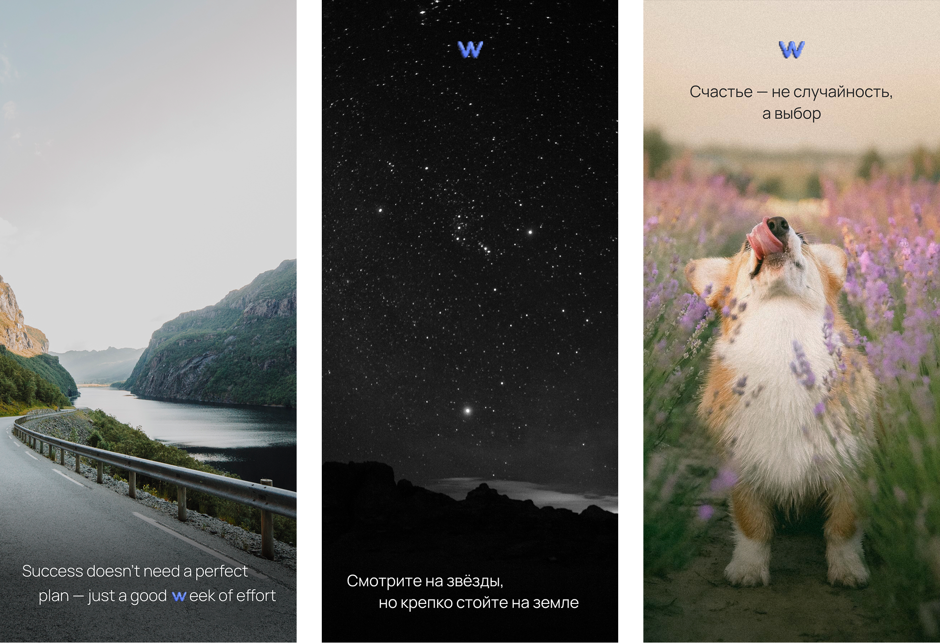 Обои на телефон