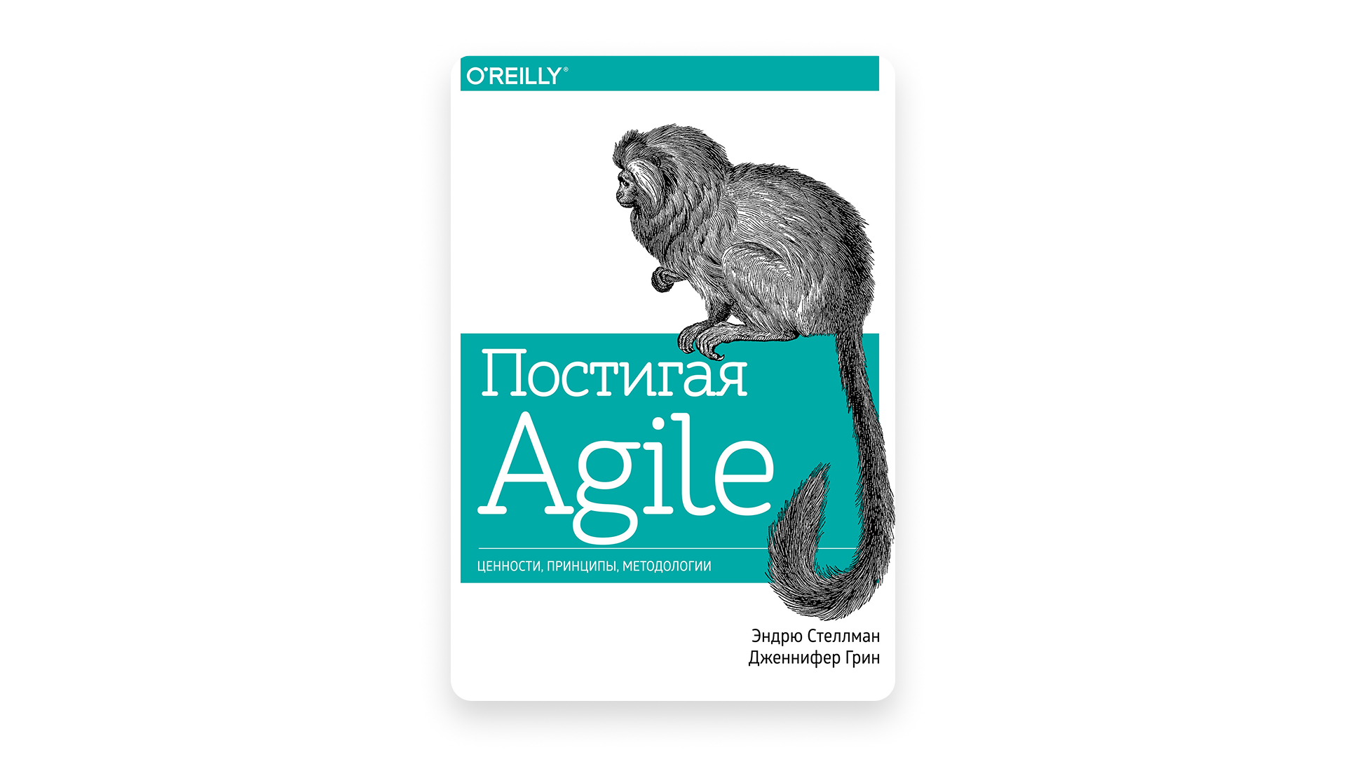 Разбор четырёх методологий