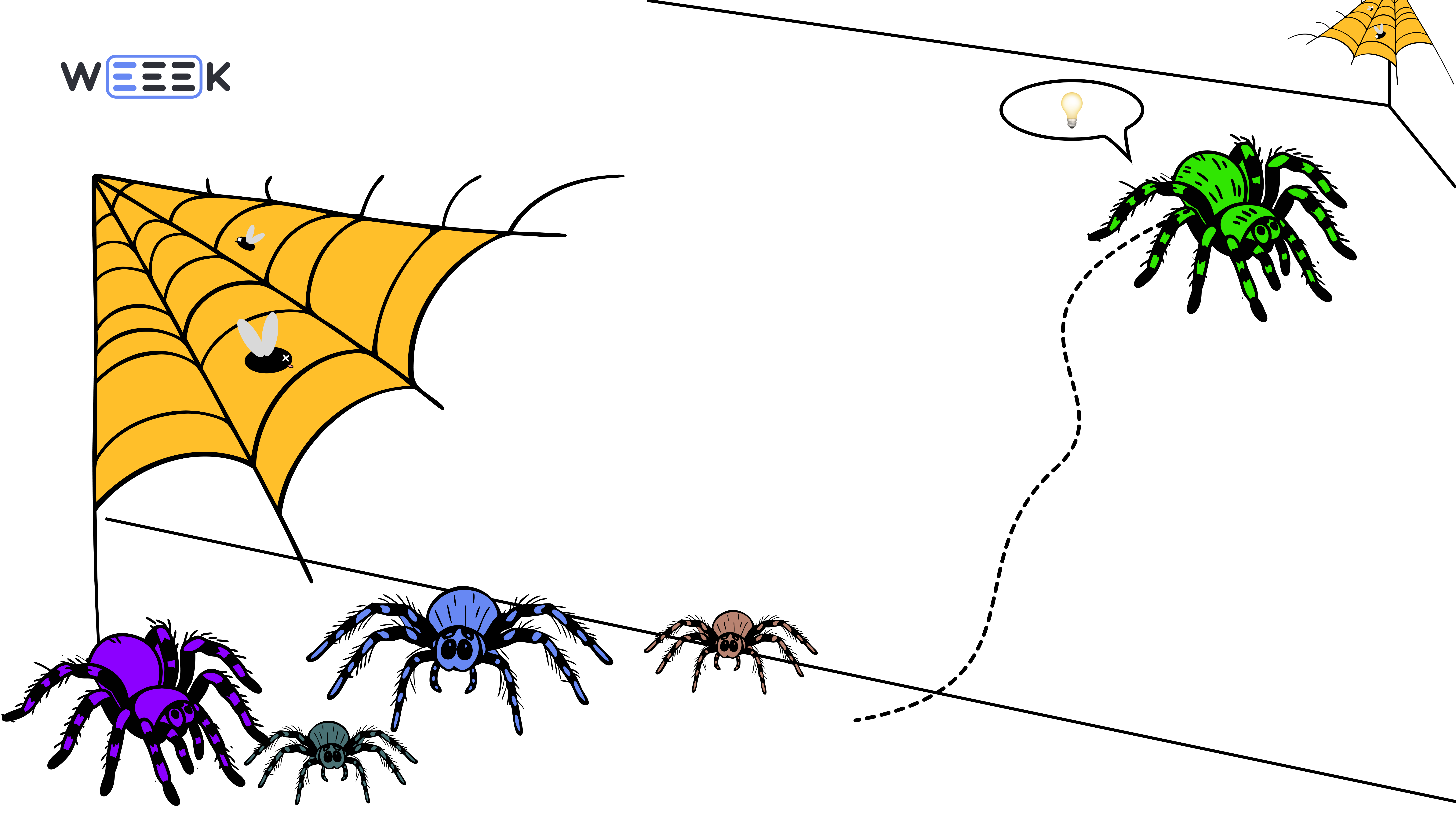 Жизненный цикл паучка
