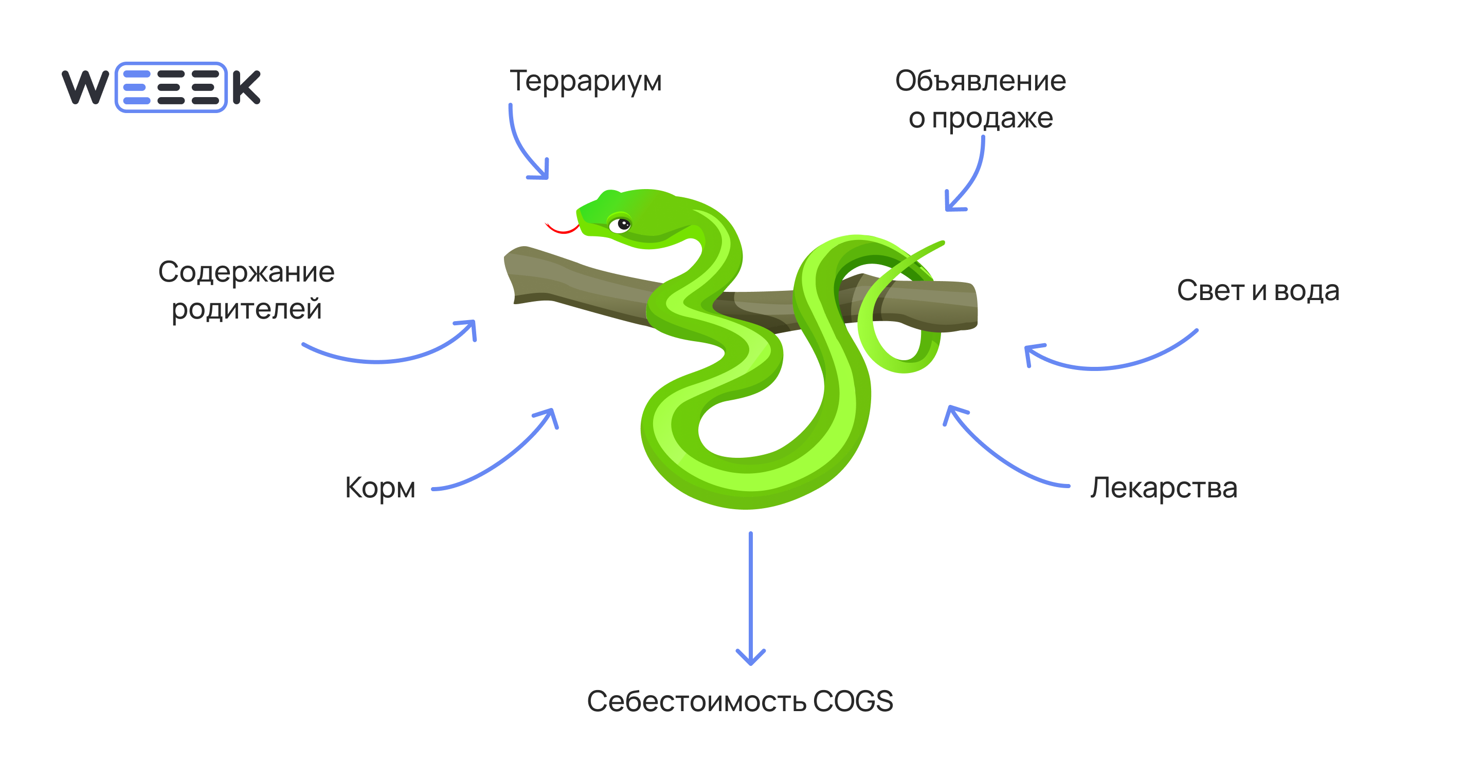 Пример расчёта юнит-экономики