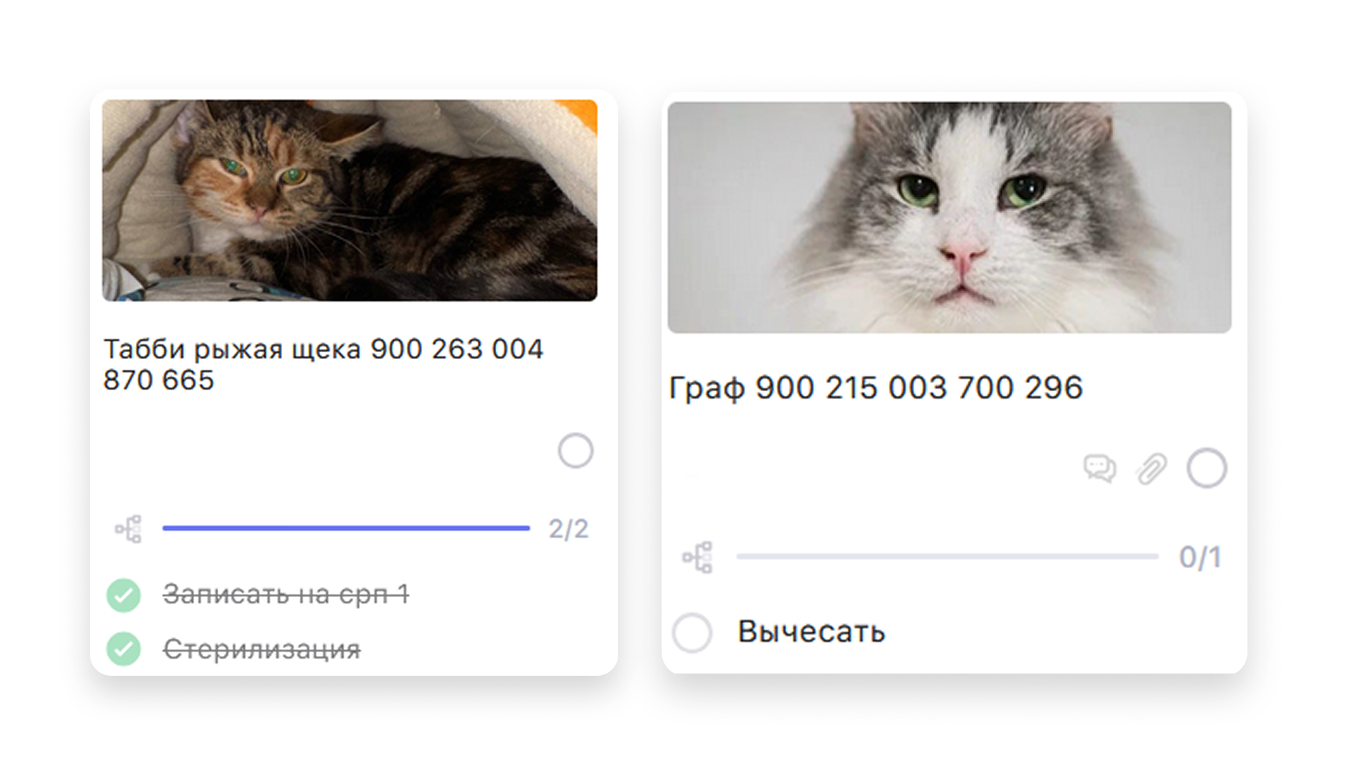 Пример карточки задачи с подзадачами в Weeek