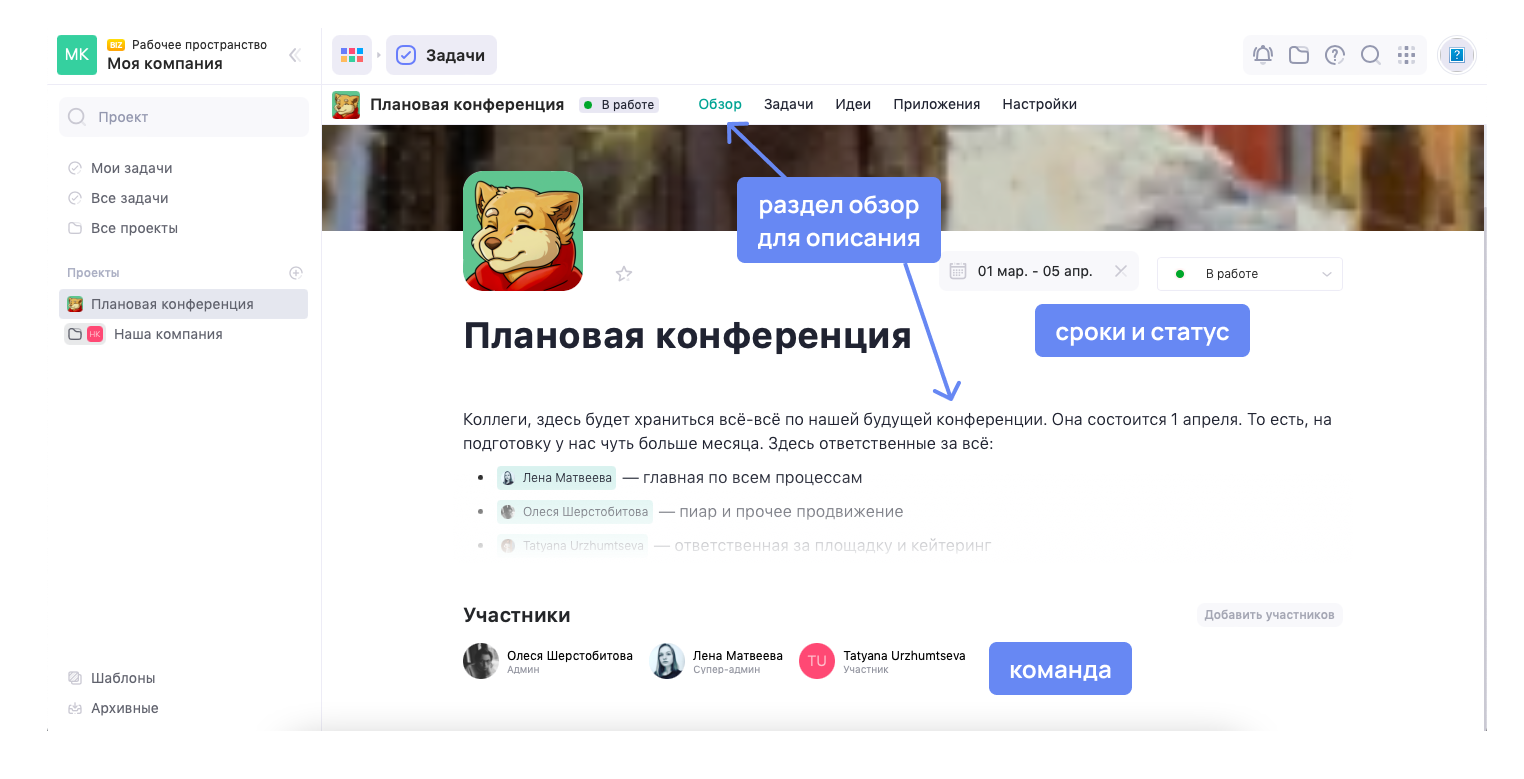 Раздел Обзор